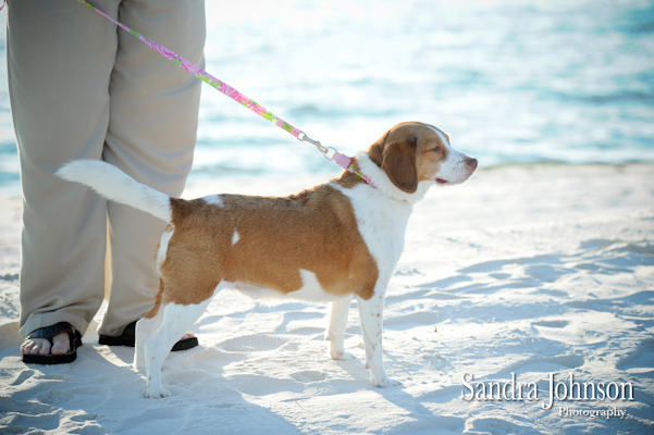 Best Port St Joe wedding photographer - Sandra Johnson (SJFoto.com)